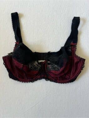 Fauve Burgundy Black Lace Underwire Bra 32FF Dark Coquette Bows